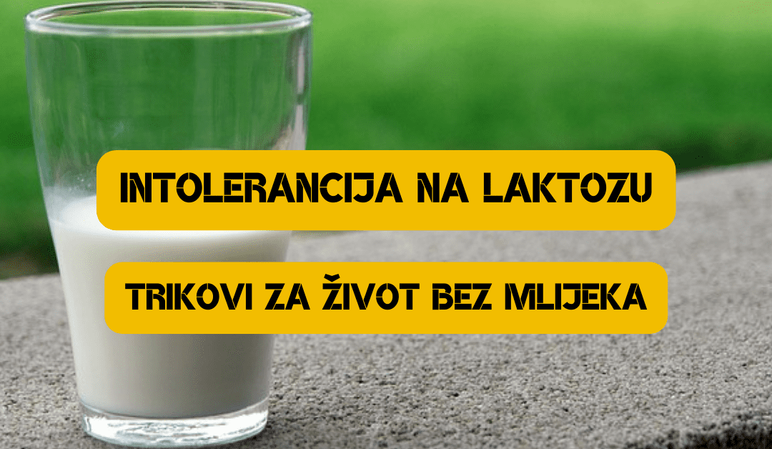 Život s intolerancijom na laktozu: savjeti i trikovi za život bez mlijeka